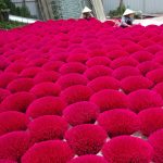 Streets in the villages are filled with bunches of blazed red and pink incense sticks