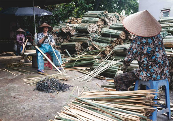 Bamboo is cut into small stick.