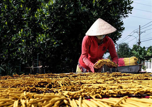 Incense sticks are spread out so that they can become dry quicker.